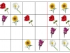 kvety-sudoku2-beata-moravcikova