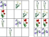 lucne-kvety2-sudoku-natalia-renckova
