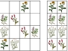 lucne-kvety3-sudoku-natalia-renckova