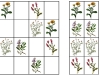lucne-kvety4-sudoku-natalia-renckova
