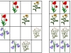 lucne-kvety5-sudoku-natalia-renckova