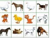 bingo-domace-zvierata-3-tereza